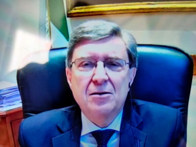 GIOVANNINI “IMMISSIONI CONSISTENTI DI NUOVE PROFESSIONALITA’ ”