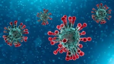 Emergenza Coronavirus